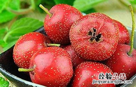 怎样吃山楂才能减肥 怎样吃山楂才能减肥呢