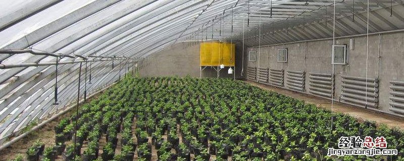 如何增加大棚二氧化碳 如何增加大棚二氧化碳浓度