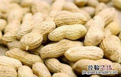 吃花生会胖吗? 吃花生会胖吗