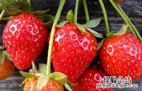 草莓要怎么洗才能洗的干净 草莓怎么洗才能洗干净