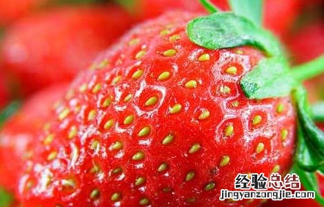 草莓要怎么洗才能洗的干净 草莓怎么洗才能洗干净