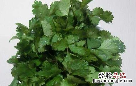 香菜杀精是真的吗 香菜杀精是真的假的