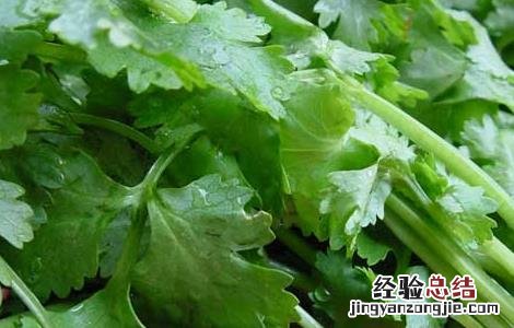 香菜杀精是真的吗 香菜杀精是真的假的