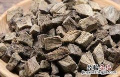 葛根怎么吃效果最好 新鲜葛根怎么吃效果最好