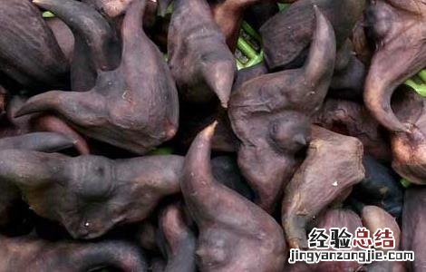菱角怎么吃最好吃 菱角的最佳吃法