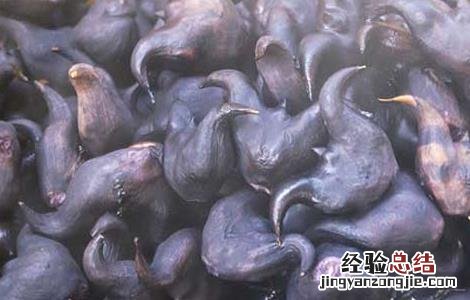 菱角怎么吃最好吃 菱角的最佳吃法