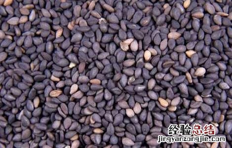 黑芝麻怎么吃最补肾呢 黑芝麻怎么吃最补肾