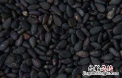 黑芝麻怎么吃最补肾呢 黑芝麻怎么吃最补肾