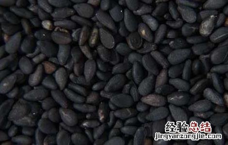 黑芝麻怎么吃最补肾呢 黑芝麻怎么吃最补肾