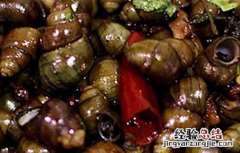 螺蛳肉怎么做好吃 海螺蛳肉怎么做好吃