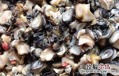 螺蛳肉怎么做好吃 海螺蛳肉怎么做好吃