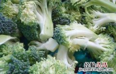 水煮西兰花的功效及做法大全 水煮西兰花的功效及做法