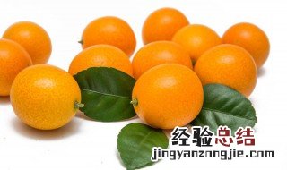 带皮吃的小金桔上火吗 小金桔吃多了上火吗