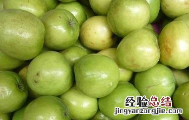 青枣的功效与作用和禁忌症 青枣的功效与作用和禁忌