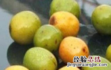 南方的酸枣核有什么功效 南酸枣果核的功效与作用