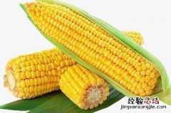 吃玉米的好处和坏处，玉米的功效和作用