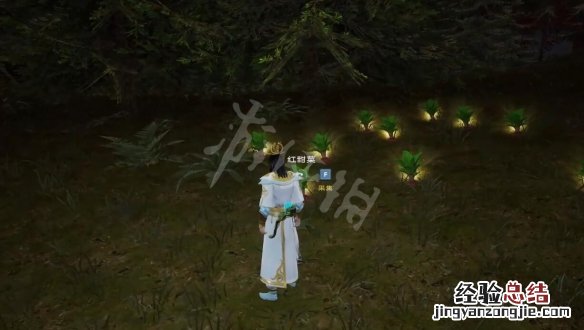 太荒初境红甜菜怎么获得