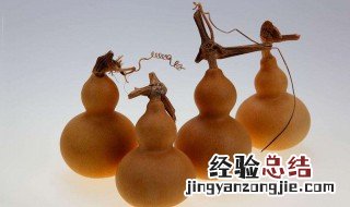 文玩葫芦种植方法和技术 文玩葫芦种植方法