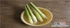 茭白一亩能种多少棵 请问一下茭白种植一亩能出多少公斤