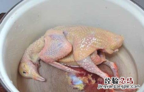 党参炖鸽子汤 党参鸽子汤的功效及做法
