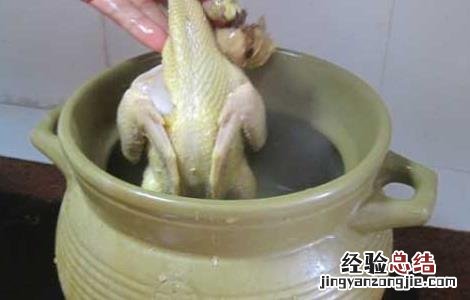 党参炖鸽子汤 党参鸽子汤的功效及做法