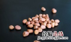 花生牛奶做法 花生牛奶做法大全