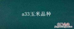 A33玉米品种 a33玉米品种