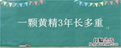 一颗黄精3年长多重正常 一颗黄精3年长多重