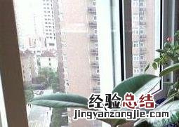橡皮树的养殖方法和注意事项有哪些 橡皮树的养殖方法与注意事项