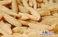 麦冬金银花茶的功效与作用 麦冬金银花茶的功效及做法