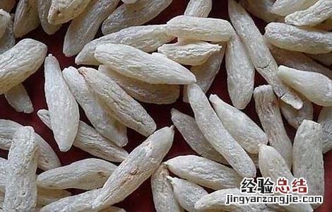 麦冬金银花茶的功效与作用 麦冬金银花茶的功效及做法
