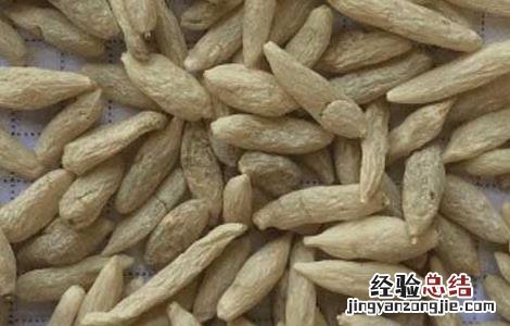 麦冬金银花茶的功效与作用 麦冬金银花茶的功效及做法