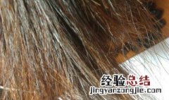 自己染发教学 可以随心所欲自己染发