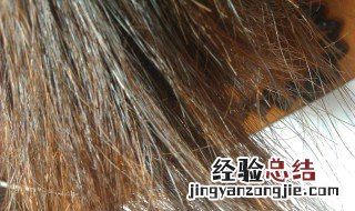 自己染发教学 可以随心所欲自己染发