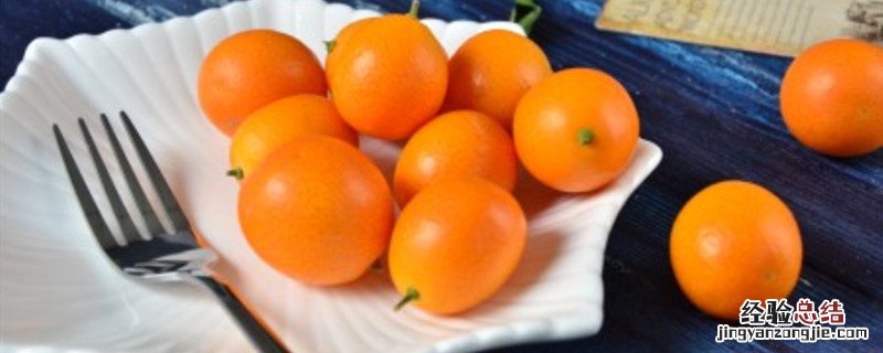 金桔种植方法和时间 金桔冬季怎样种植