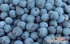 蓝莓怎么吃最有营养 蓝莓吃什么好处