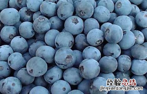 蓝莓怎么吃最有营养 蓝莓吃什么好处