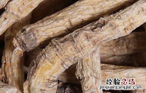 西洋参怎么吃效果最好 西洋参粉怎么吃效果最好