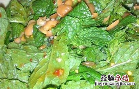 凉拌薄荷叶的功效及做法 凉拌薄荷叶的功效及做法窍门