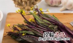 红菜苔的嘌呤高吗 红菜苔嘌呤高吗