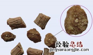 酒川牛膝的功效与作用及食用方法 酒川牛膝的功效与作用