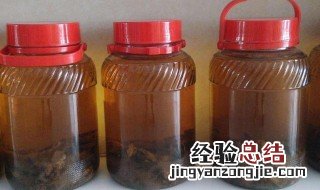 雄蚕蛾酒的功效与作用 雄蚕蛾酒的功效与作用及禁忌_百草录