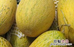 哈密瓜和什么榨汁好喝 哈密瓜和什么榨汁好喝一点