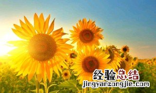 短句励志十字 励志十字短句精选
