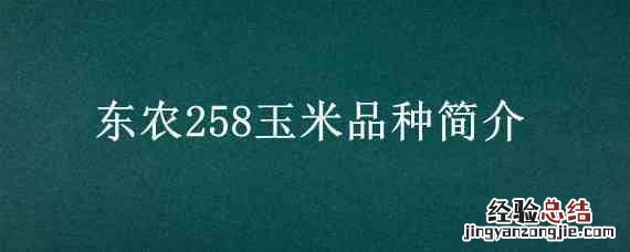 东农258玉米品种简介 东农258玉米种子简介