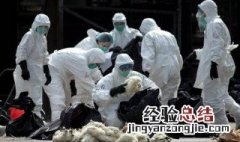 禽流感一般在几月份 你知道吗