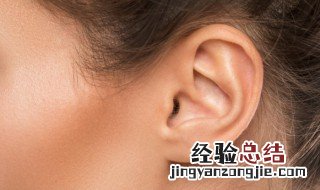 ear耳朵英语怎么读 ear耳朵英语的读音