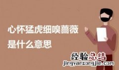 心怀猛虎细嗅蔷薇是什么意思 关于心怀猛虎细嗅蔷薇的介绍