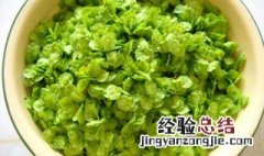 榆钱叶子怎么吃 榆钱叶的吃法