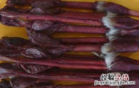 鹿鞭泡酒的最佳配方 人参鹿鞭泡酒的最佳配方